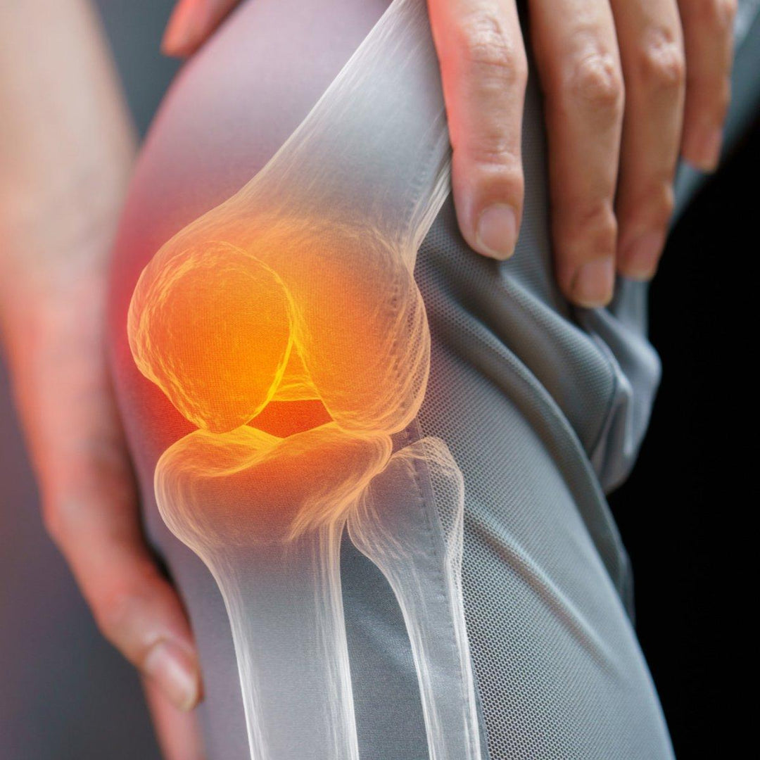 Bone Health - INNOVEDA