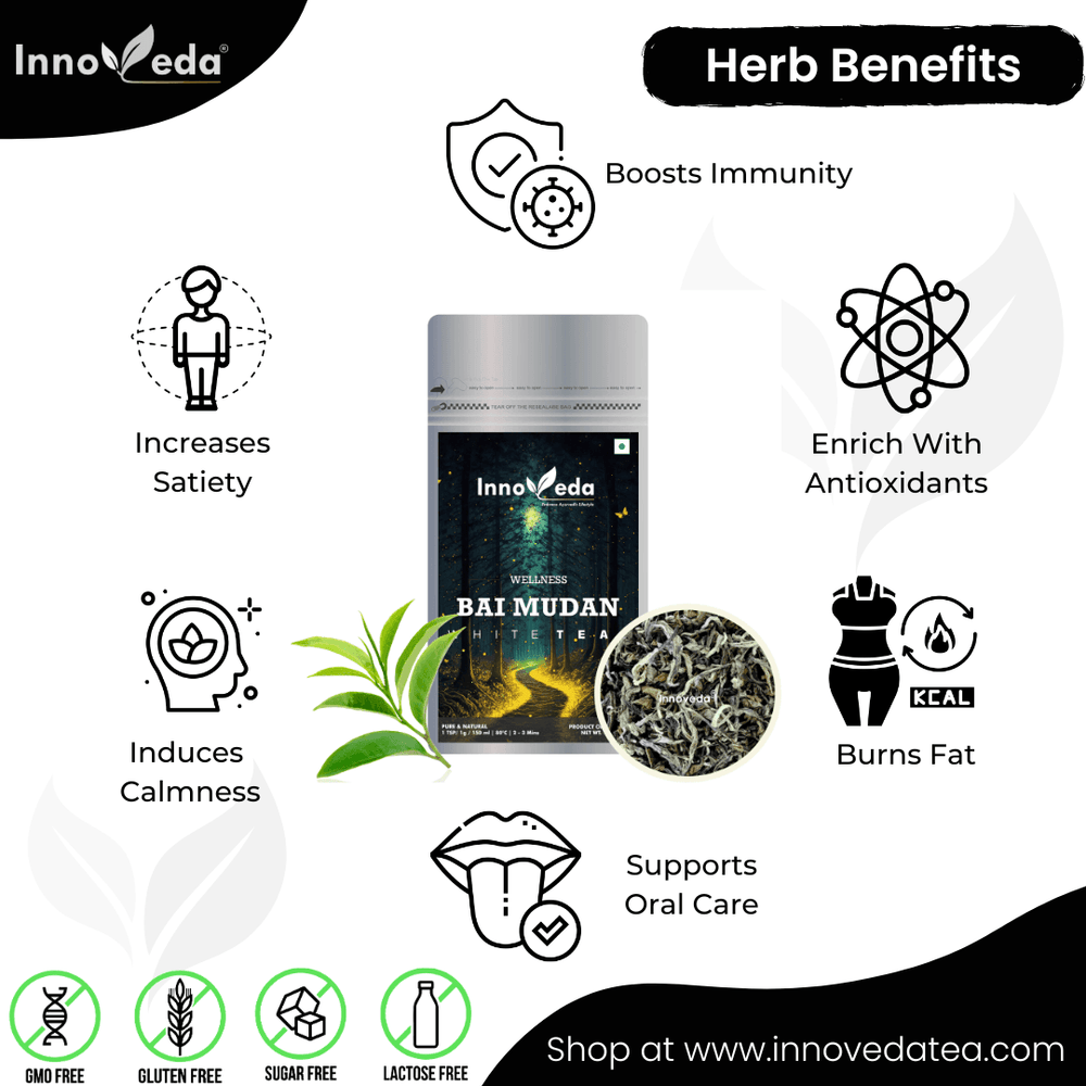 Bai Mudan White Peony Tea - INNOVEDA