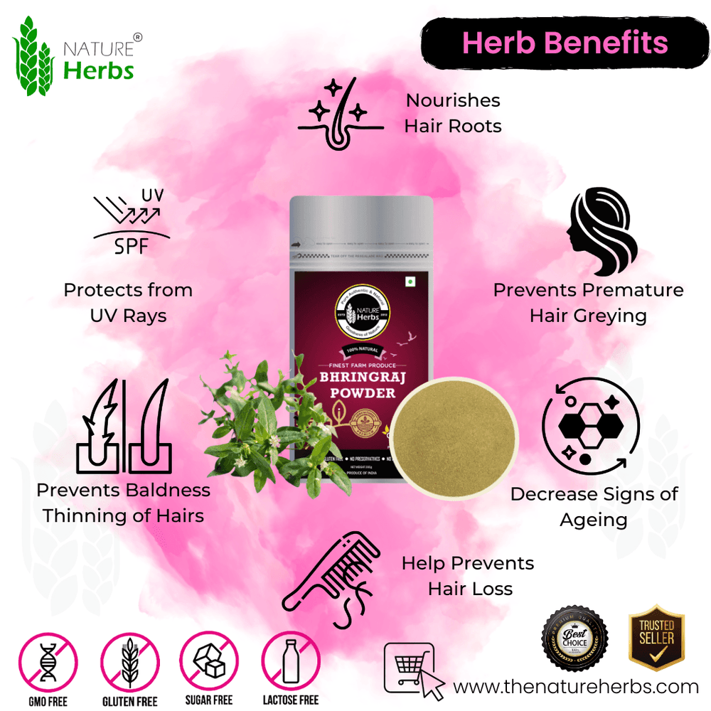 Bhringraj Powder For Health Hairs (Kesharaj) - INNOVEDA