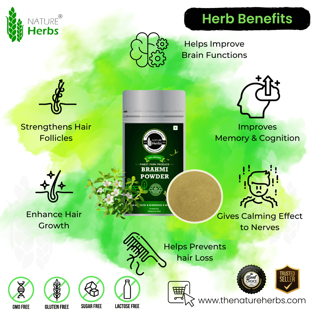 Brahmi (Bacopa) Powder (Churna) For Brain & Hairs - INNOVEDA