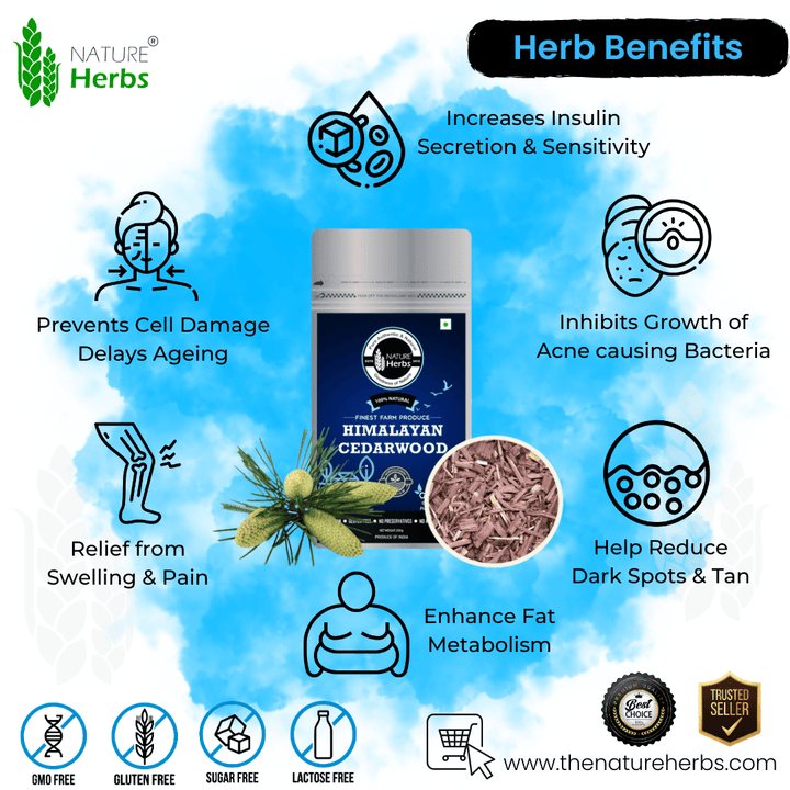Himalayan Cedar Devdaru Deodar Tea For Weight Management - INNOVEDA