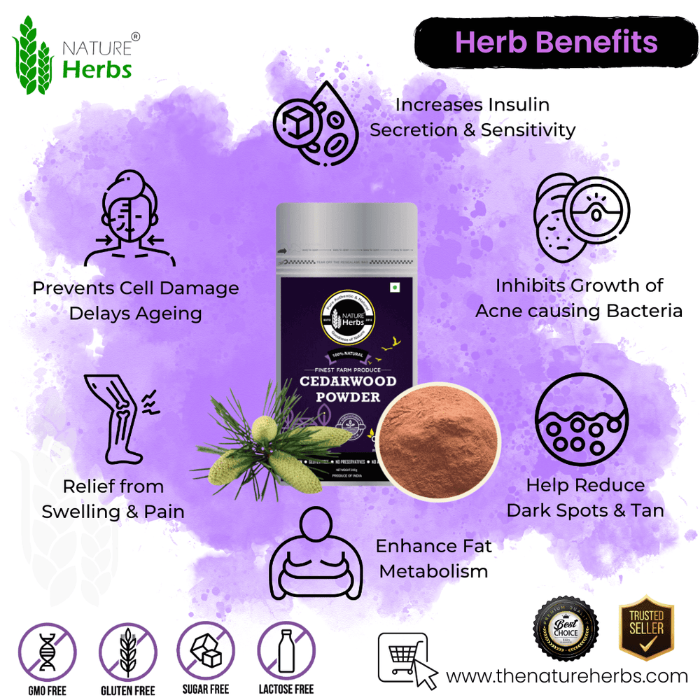 Cedarwood Powder Devdaru Deodar For Acne Support - INNOVEDA
