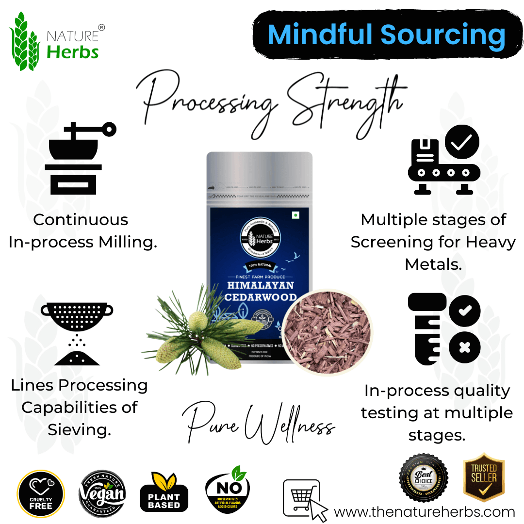 Himalayan Cedar Devdaru Deodar Tea For Weight Management - INNOVEDA