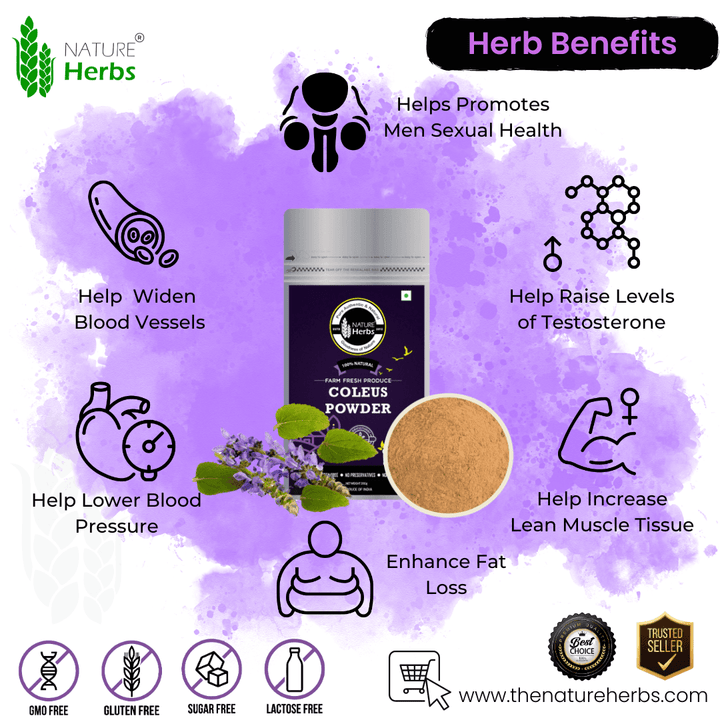 Coleus / Makandi Root Powder Coleus forskohlii - INNOVEDA