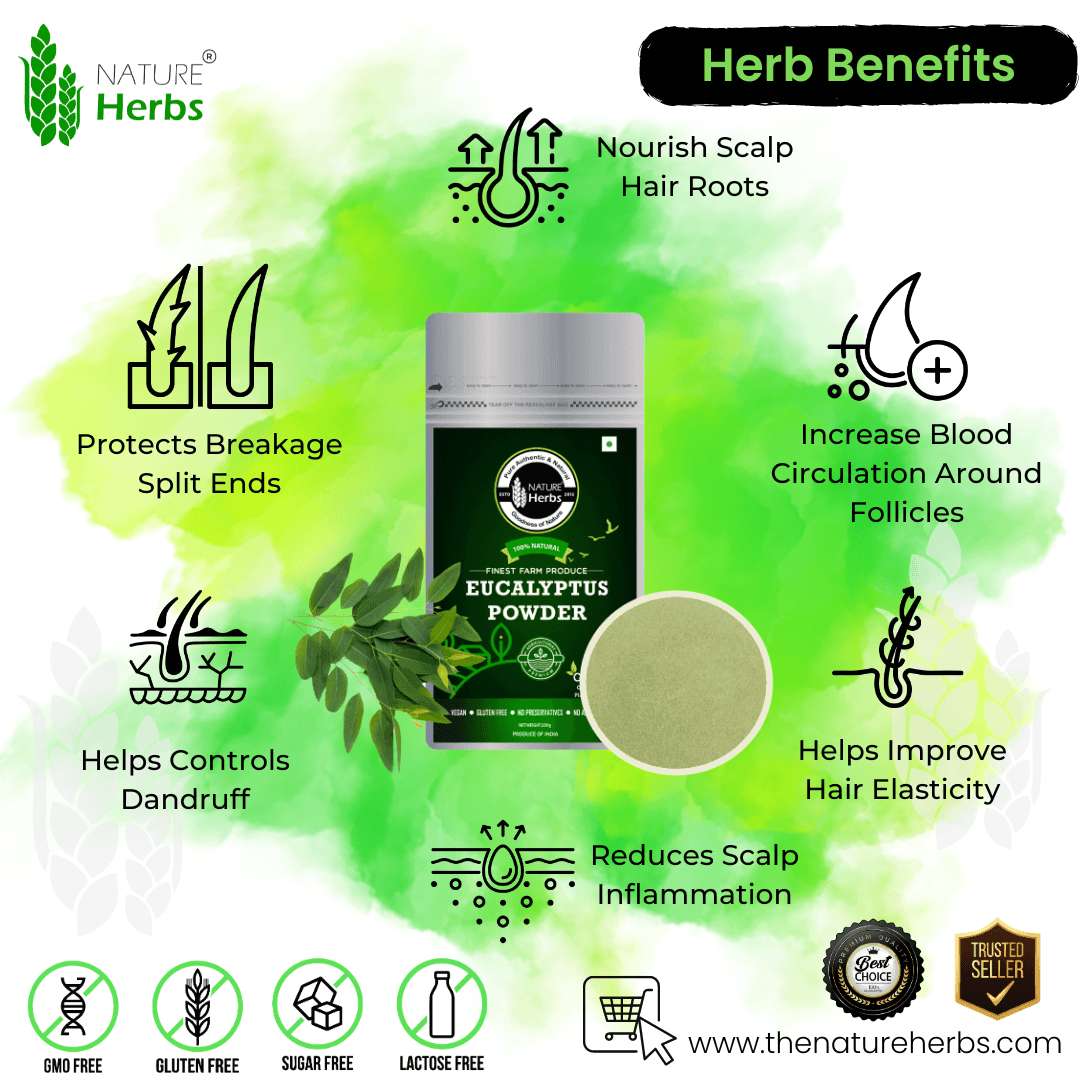 Eucalyptus Leaf Powder - INNOVEDA