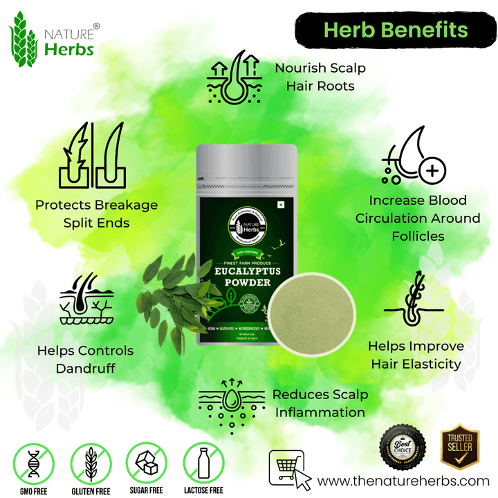 Eucalyptus Leaf Powder - INNOVEDA