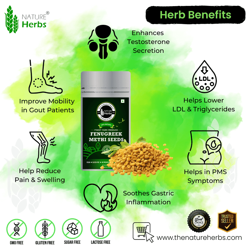 Fenugreek Seeds Methi - INNOVEDA