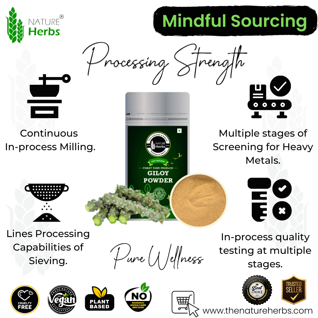 Giloy Guduchi Powder - INNOVEDA