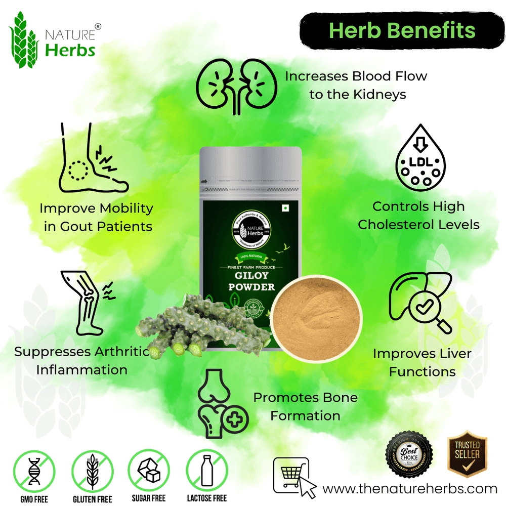 Giloy Guduchi Powder - INNOVEDA