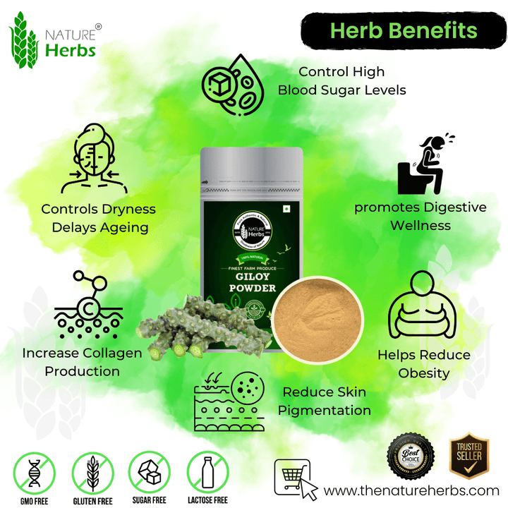 Giloy Guduchi Powder - INNOVEDA