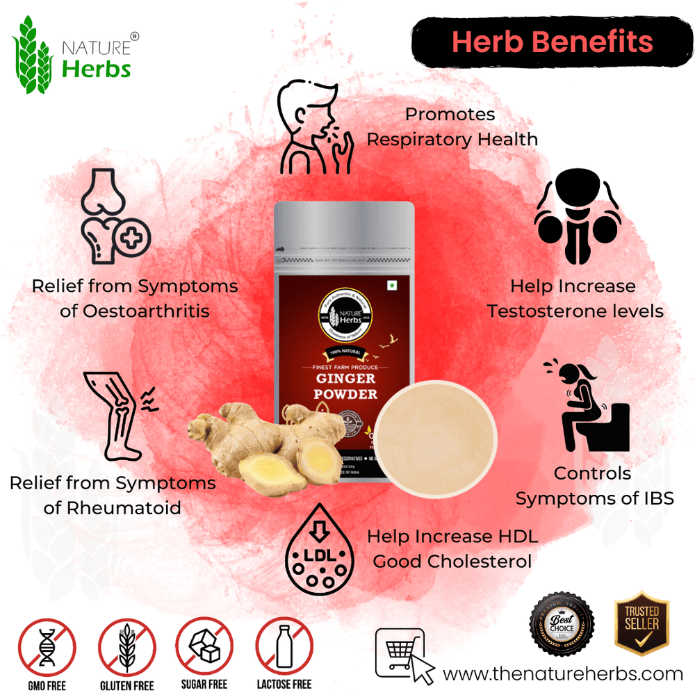 Ginger Adrak Powder - INNOVEDA