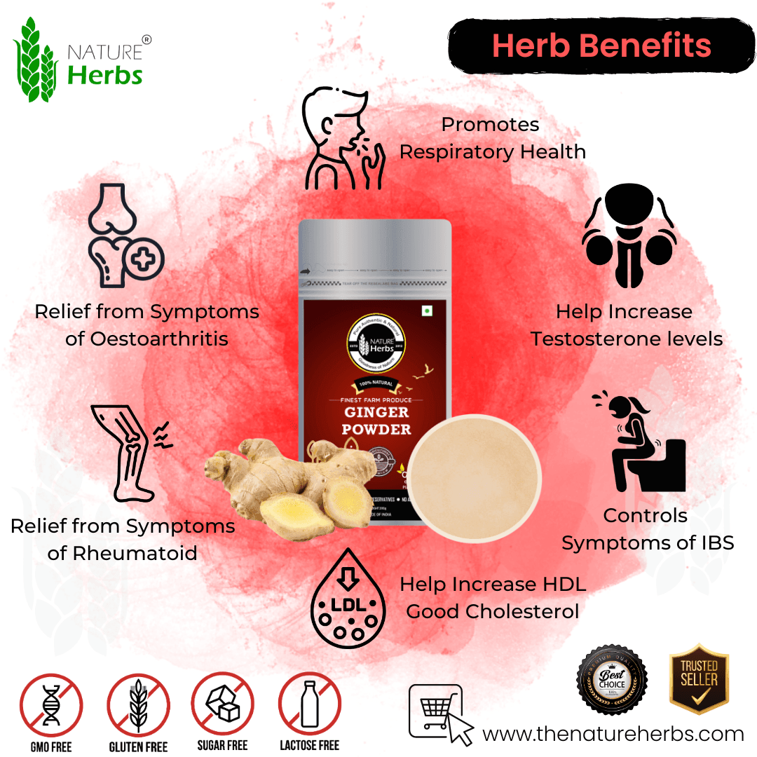 Ginger Adrak Powder - INNOVEDA