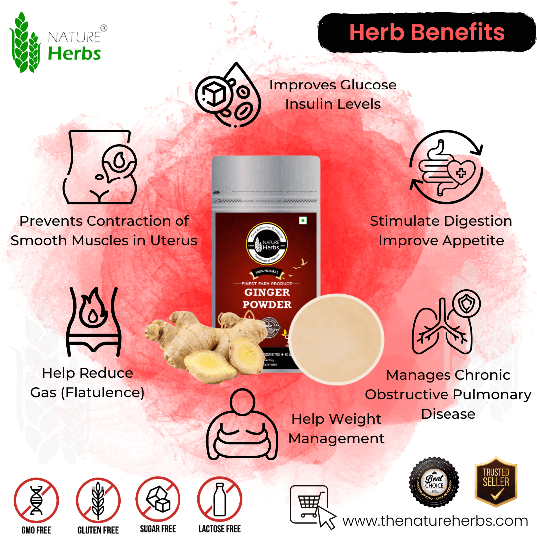 Ginger Adrak Powder - INNOVEDA