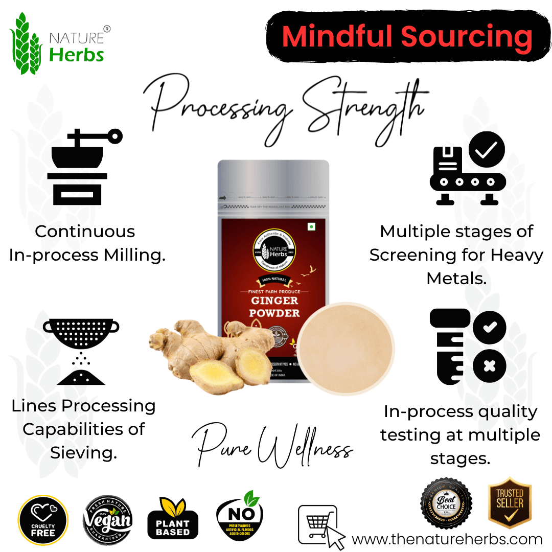 Ginger Adrak Powder - INNOVEDA