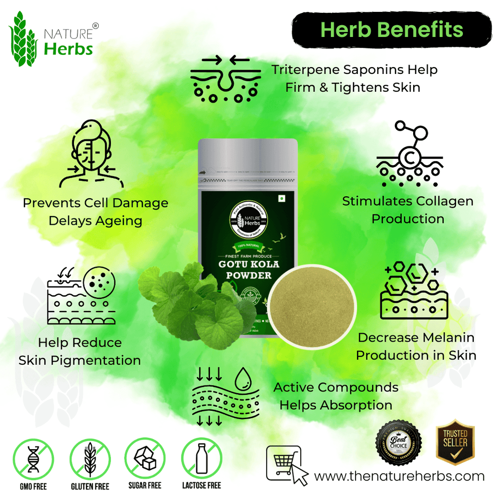 Gotu Kola Mandukaparni Powder - INNOVEDA