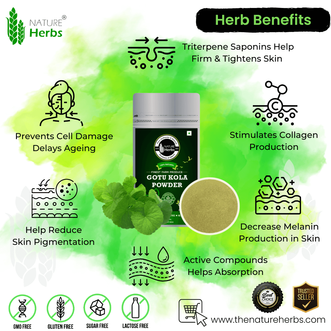 Gotu Kola Mandukaparni Powder - INNOVEDA