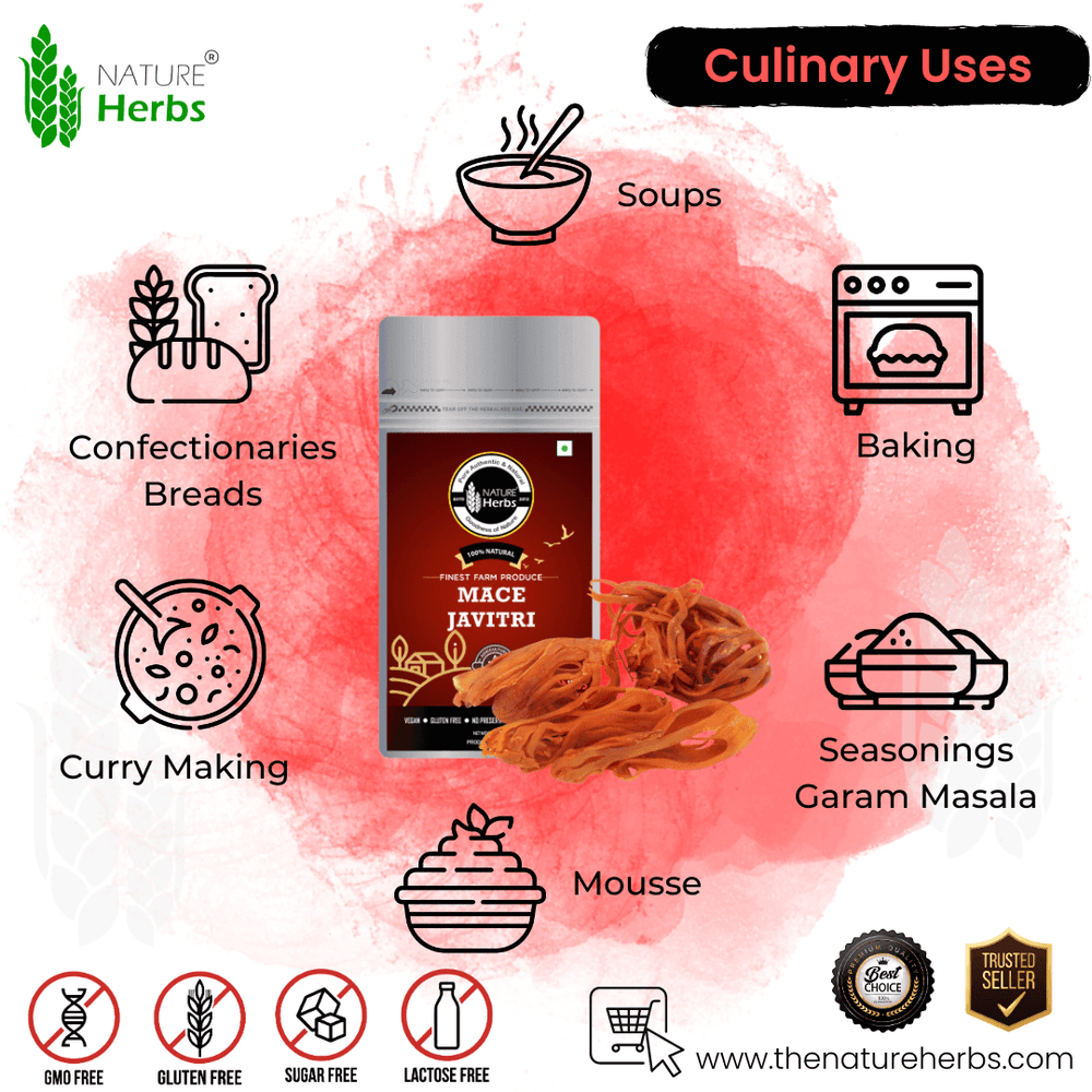 Mace Javitri - INNOVEDA