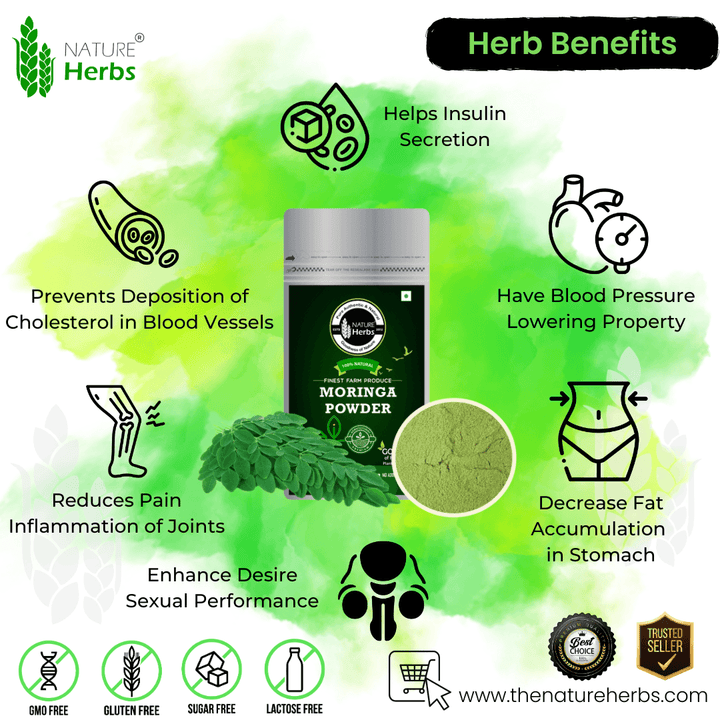 Moringa Leaves Drumstick Shigru - INNOVEDA