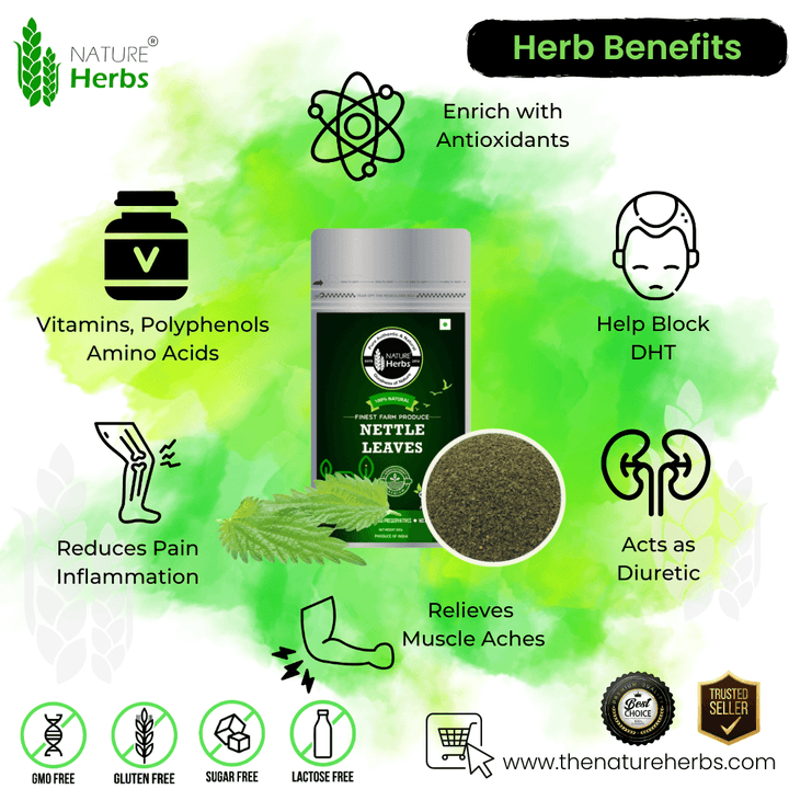 Stinging Nettle Leaves - INNOVEDA