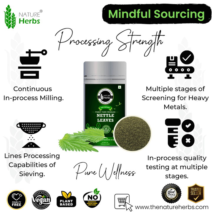 Stinging Nettle Leaves - INNOVEDA