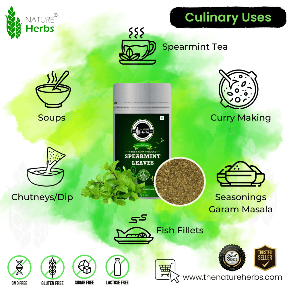 Spearmint Leaves - INNOVEDA