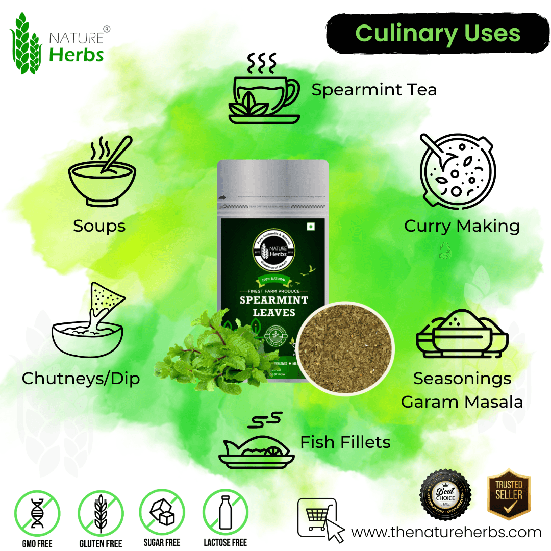 Spearmint Leaves - INNOVEDA