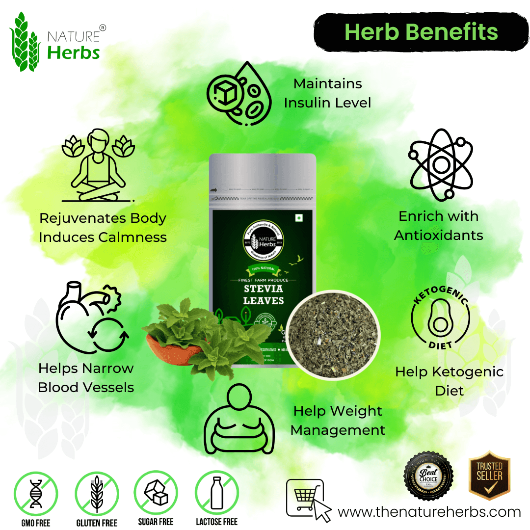 Stevia Leaves - INNOVEDA