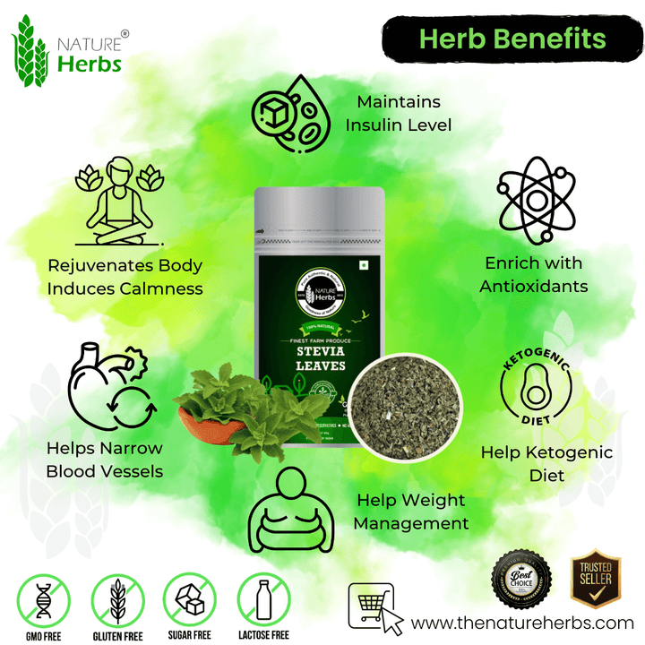 Stevia Leaves - INNOVEDA