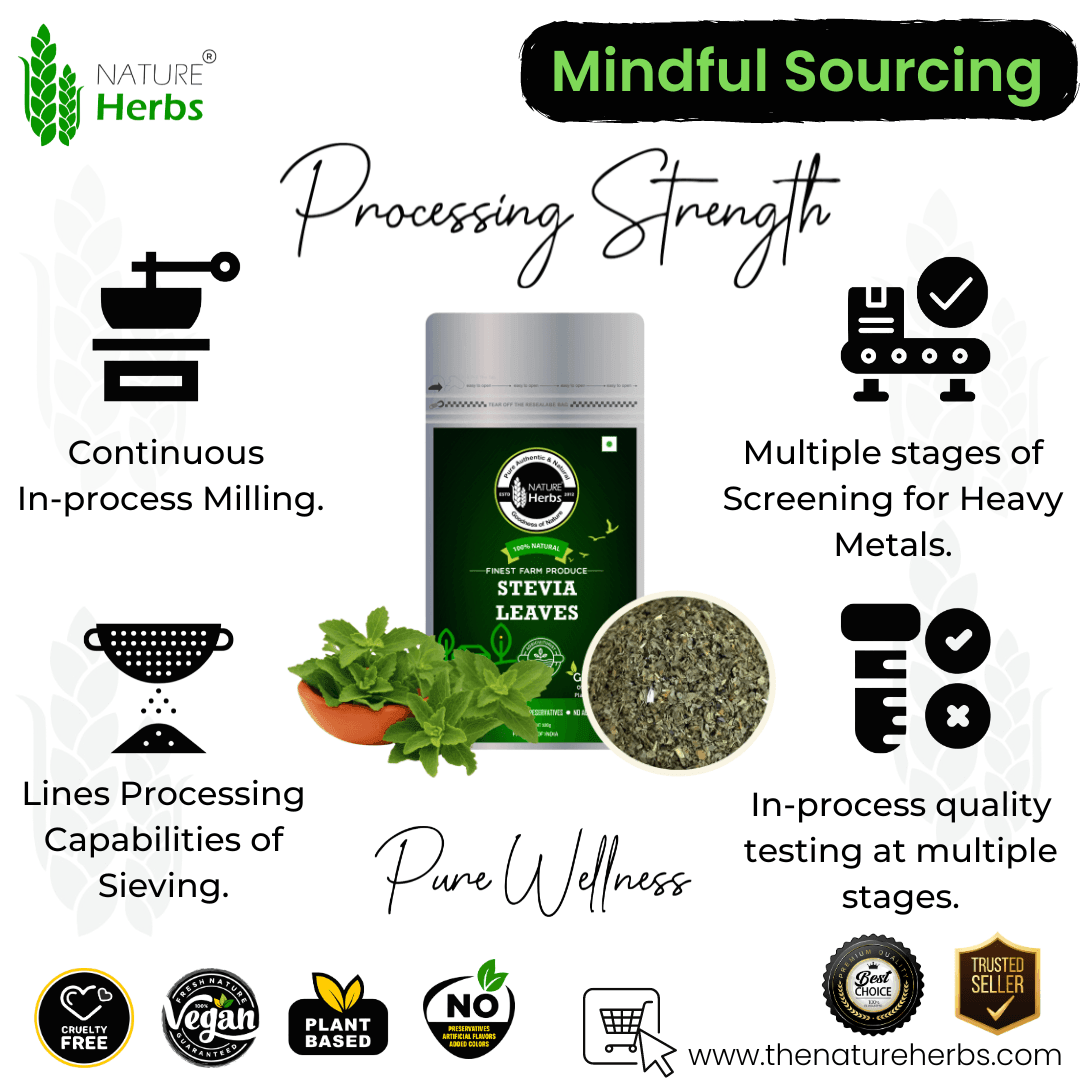 Stevia Leaves - INNOVEDA