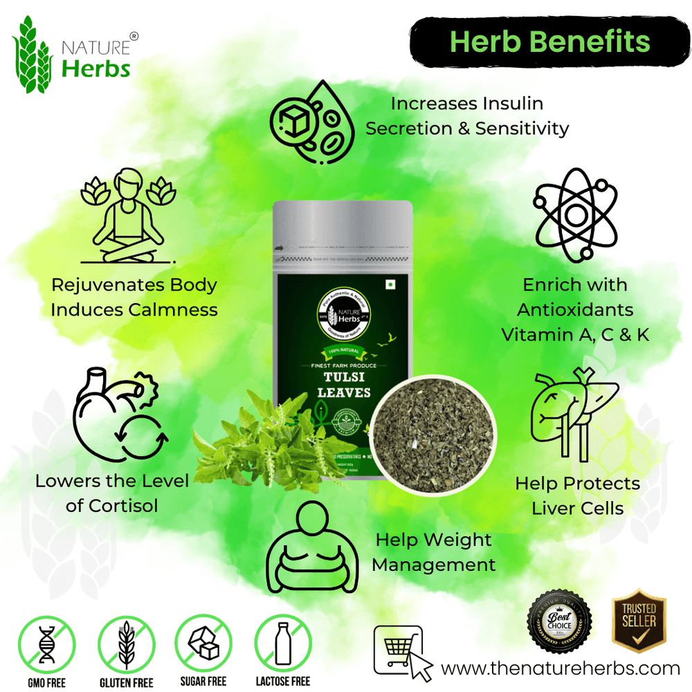 Tulsi Leaves - INNOVEDA