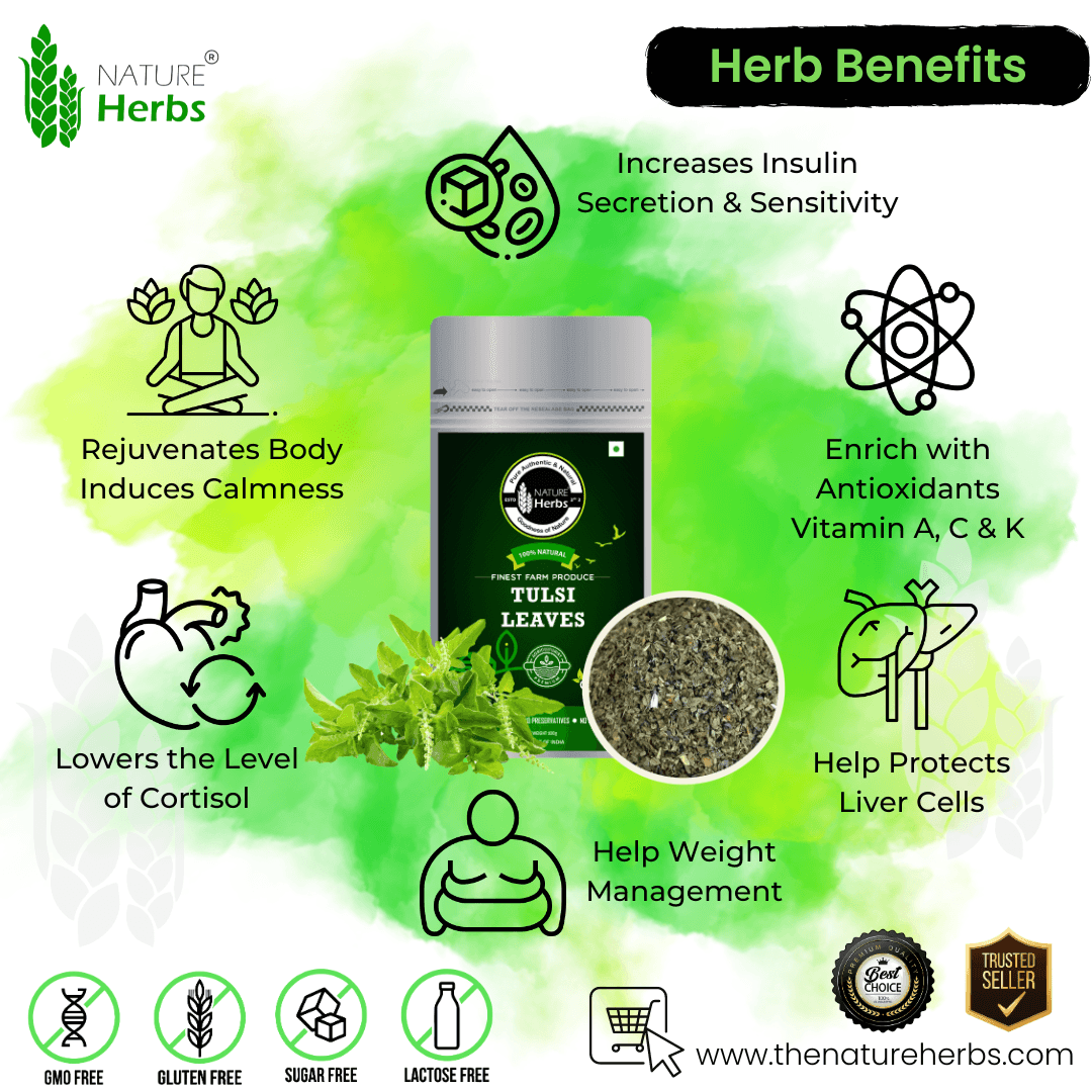 Tulsi Leaves - INNOVEDA