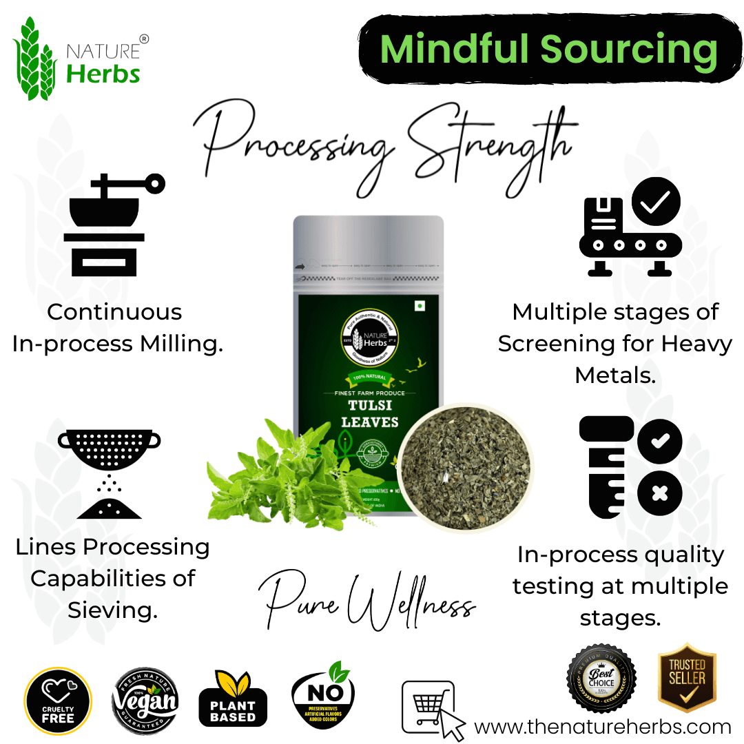 Tulsi Leaves - INNOVEDA