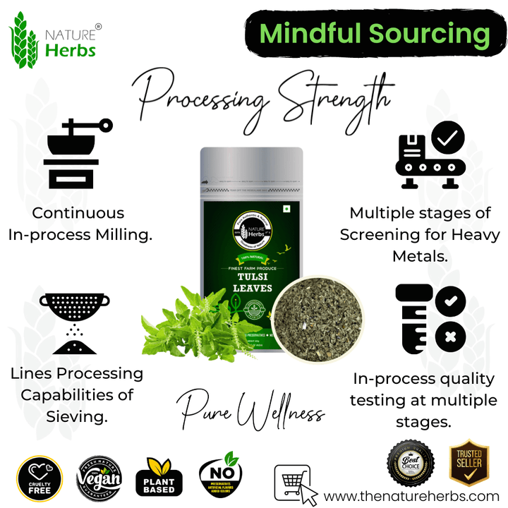 Tulsi Leaves - INNOVEDA