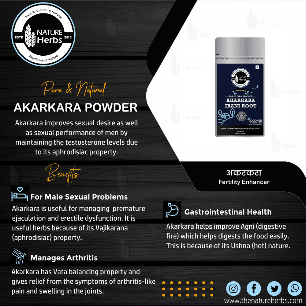 Akarkara Irani Root Tea (Pellitory Root) अकरकरा/Anacyclus Pyrethrum/Akarkarabh - INNOVEDA