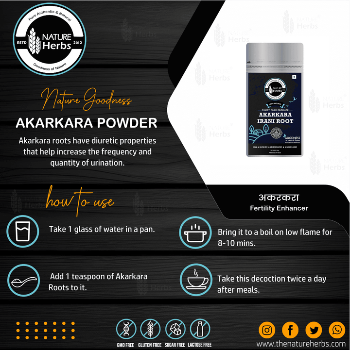 Akarkara Irani Root Tea (Pellitory Root) अकरकरा/Anacyclus Pyrethrum/Akarkarabh - INNOVEDA