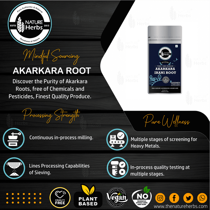 Akarkara Irani Root Tea (Pellitory Root) अकरकरा/Anacyclus Pyrethrum/Akarkarabh - INNOVEDA