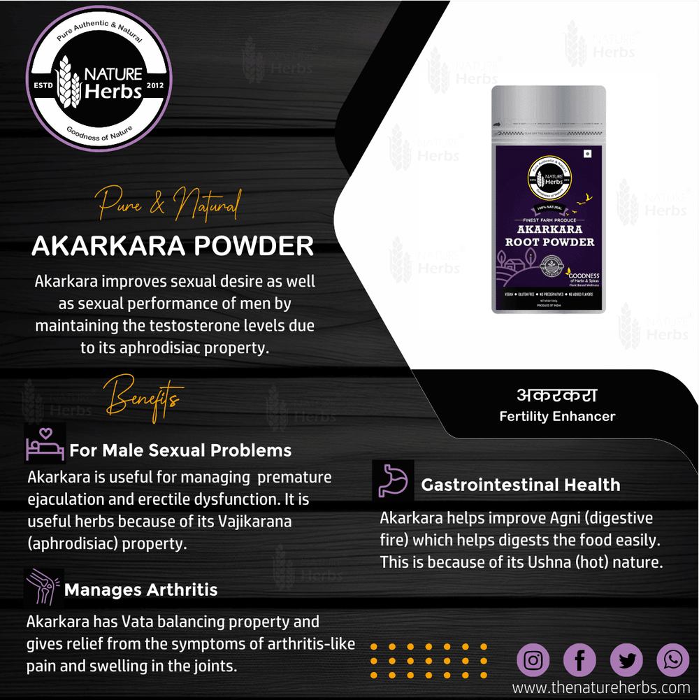 Akarkara Root Powder (Pellitory Root) अकरकरा/Anacyclus Pyrethrum/Akarkarabh - INNOVEDA