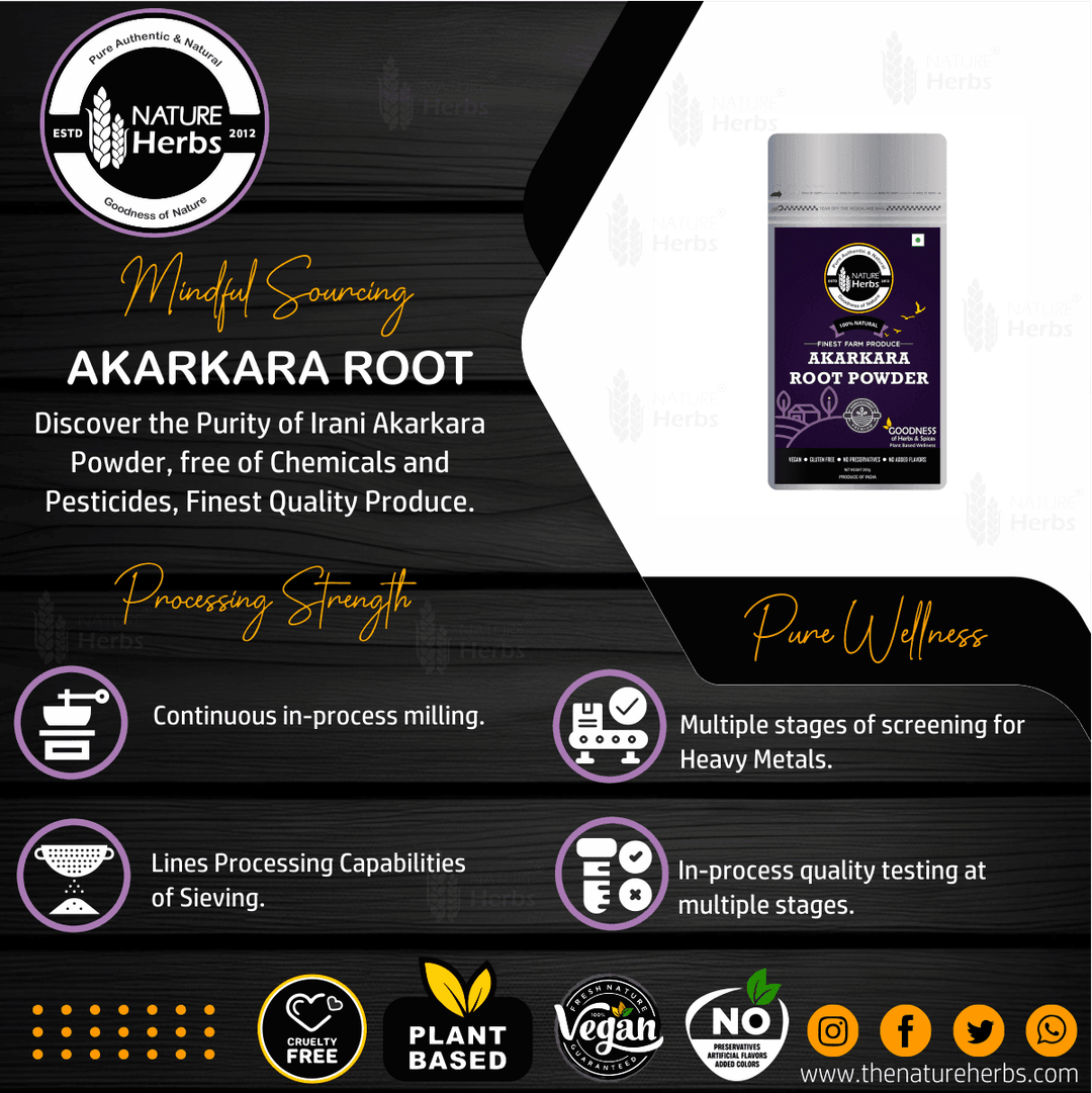 Akarkara Root Powder (Pellitory Root) अकरकरा/Anacyclus Pyrethrum/Akarkarabh - INNOVEDA