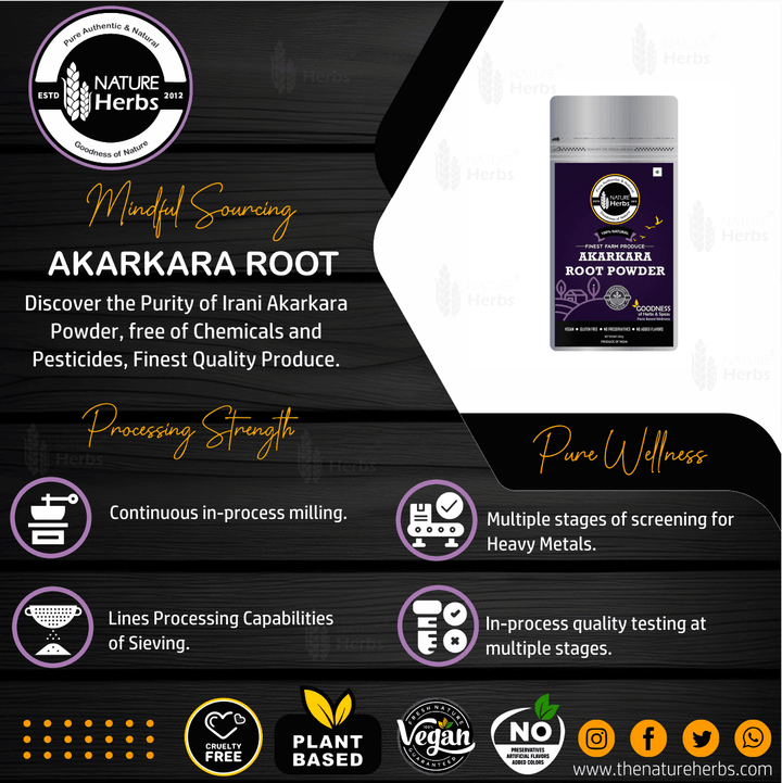 Akarkara Root Powder (Pellitory Root) अकरकरा/Anacyclus Pyrethrum/Akarkarabh - INNOVEDA