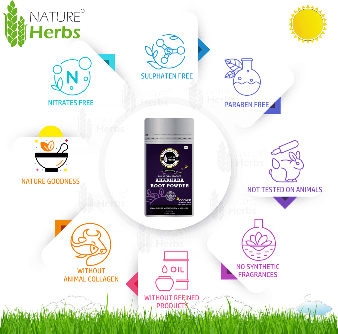 Akarkara Root Powder (Pellitory Root) अकरकरा/Anacyclus Pyrethrum/Akarkarabh - INNOVEDA