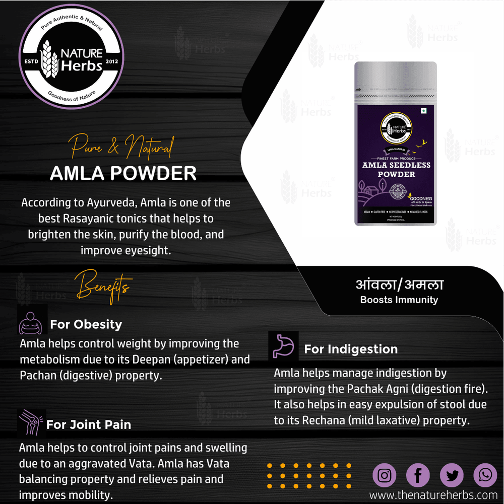 Amla Seedless Powder (Churna) - INNOVEDA