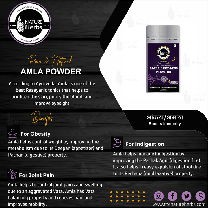 Amla Seedless Powder (Churna) - INNOVEDA