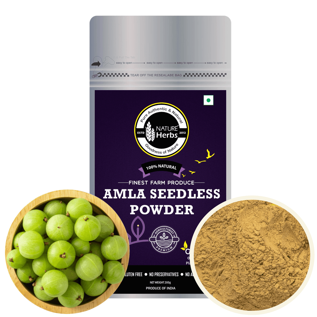 Amla Seedless Powder (Churna) - INNOVEDA