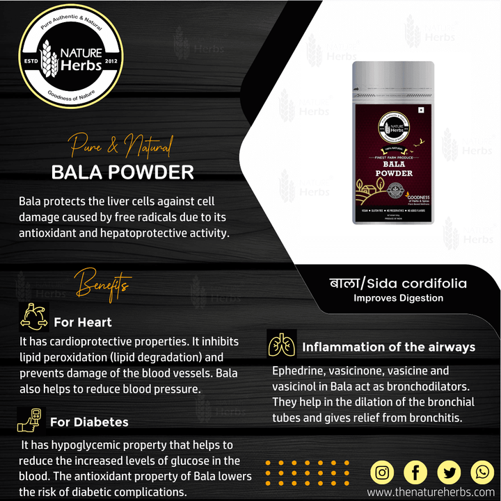 Bala Powder (Churna) For Weight management - INNOVEDA