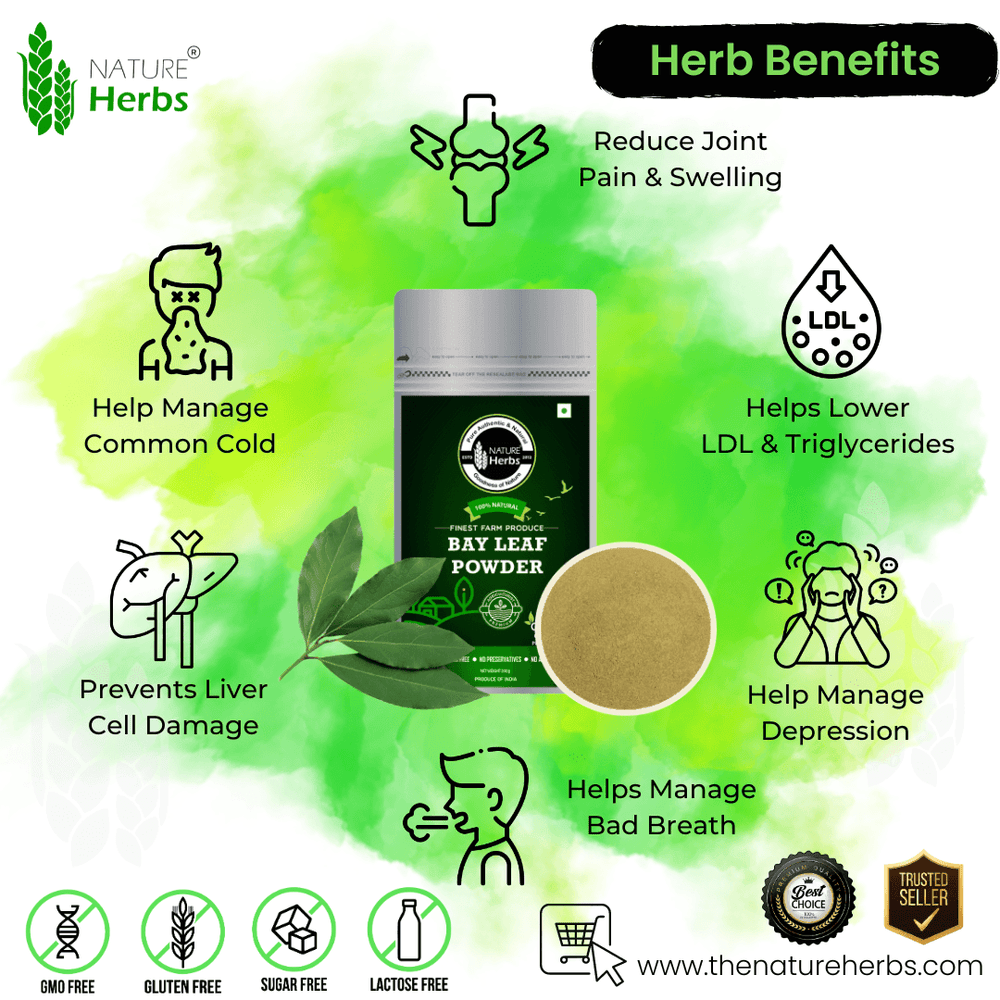 Bay Leaf (Tej Patta) Powder - INNOVEDA