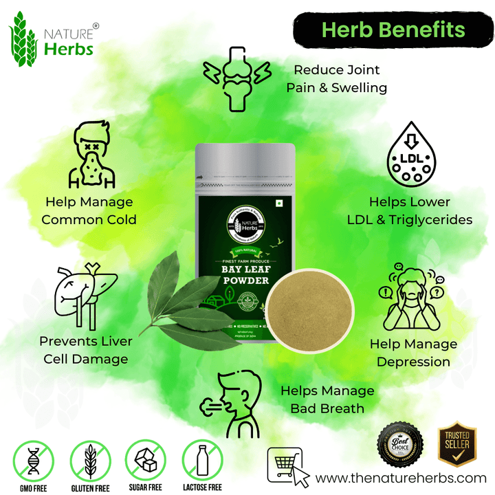 Bay Leaf (Tej Patta) Powder - INNOVEDA
