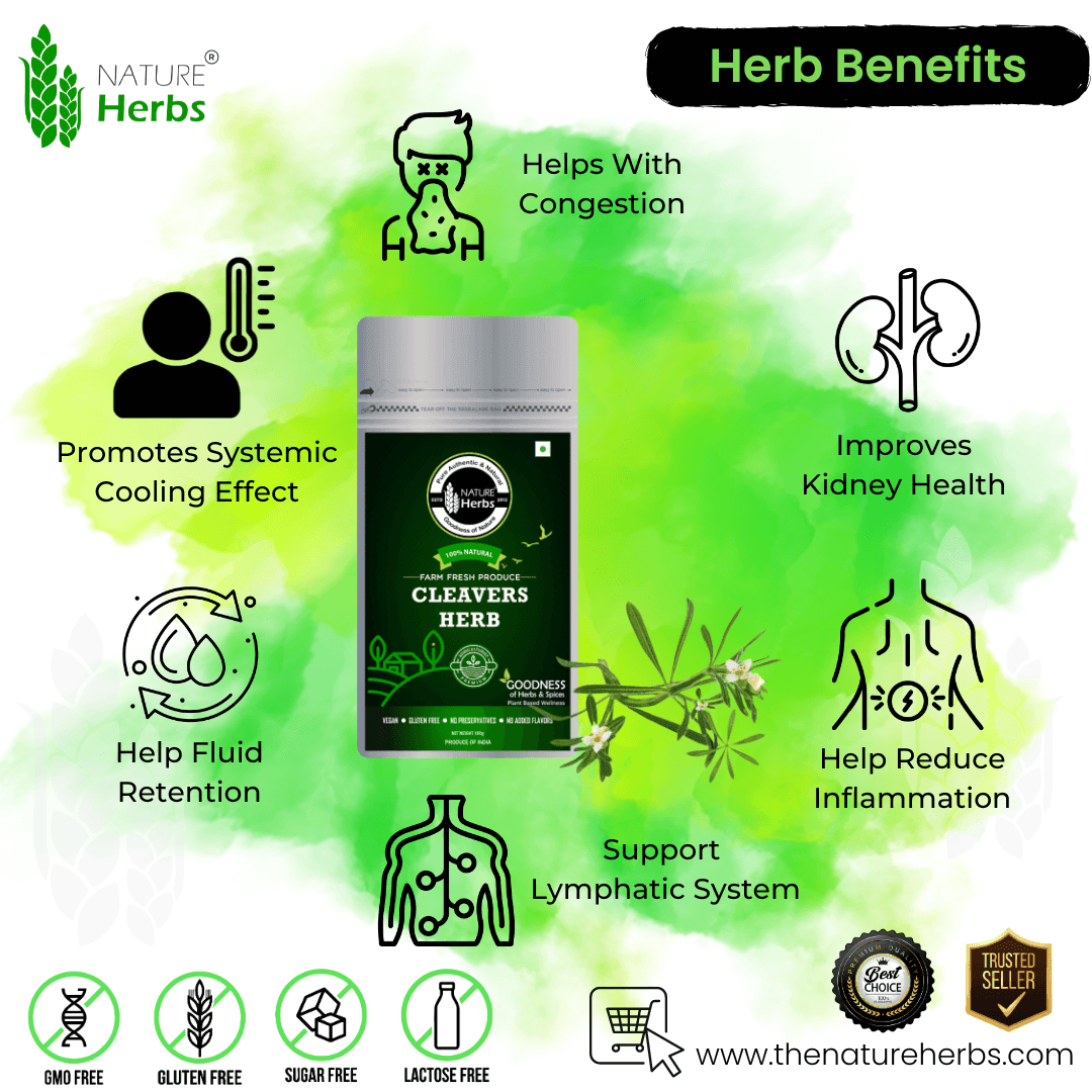 Cleavers Herb Tea - INNOVEDA