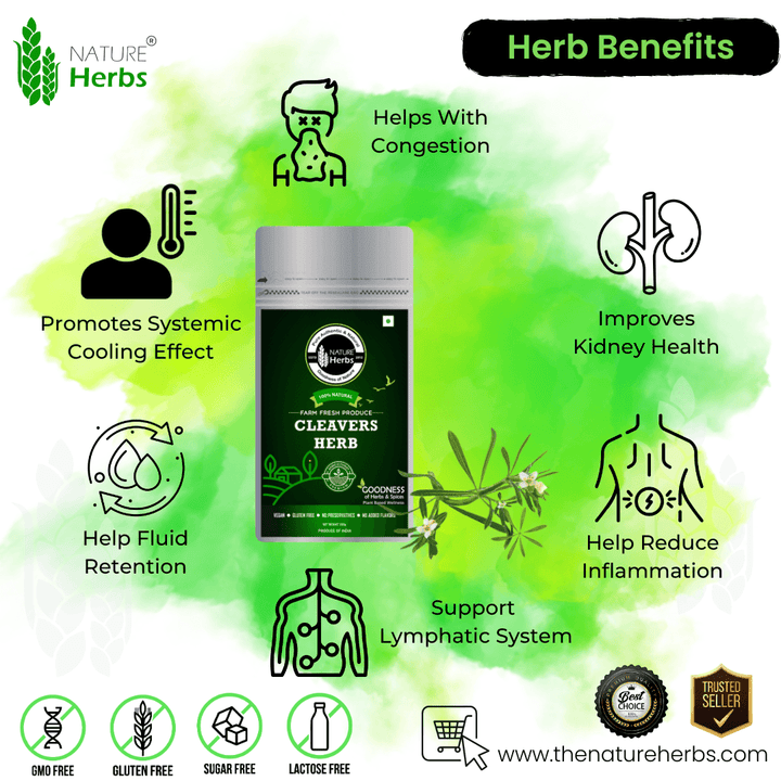 Cleavers Herb Tea - INNOVEDA