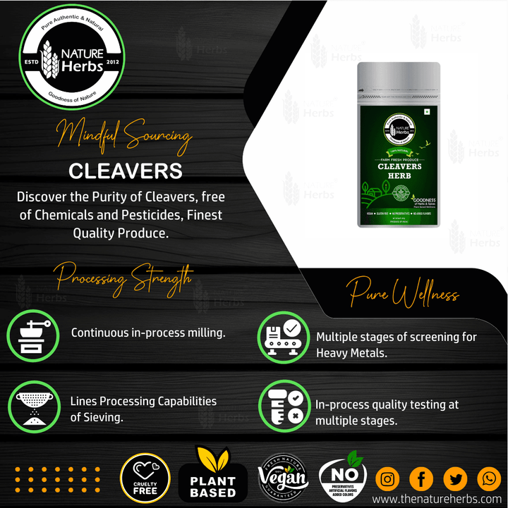 Cleavers Herb Tea - INNOVEDA