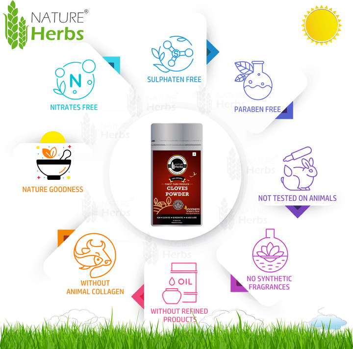 Cloves Lavanga Syzygium aromaticum Powder - INNOVEDA